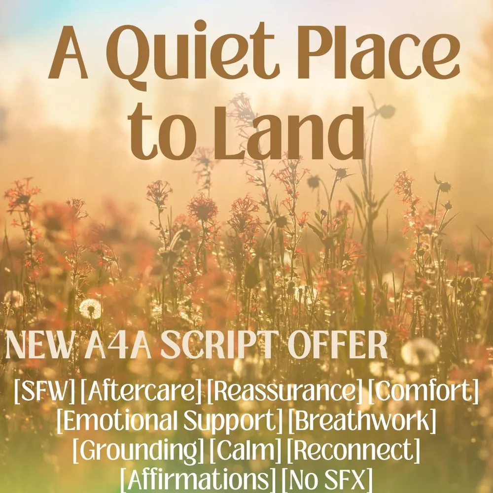 A Quiet Place to Land